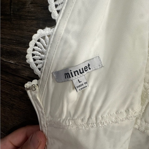 Minuet White Sheath Lace V-Neck Mini Dress - Picture 8 of 9